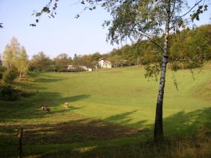07 Stranice - osameli kras (Foto 7, Arhiv ZRSVN OE Celje)